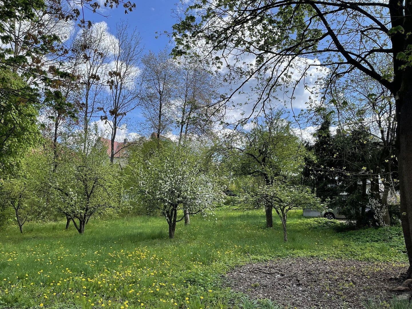 Prodej domu 369 m², pozemek 4.788 m², Harztor, Durynsko Prodej domu 369 m², pozemek 4.788 m², Harztor, Durynsko