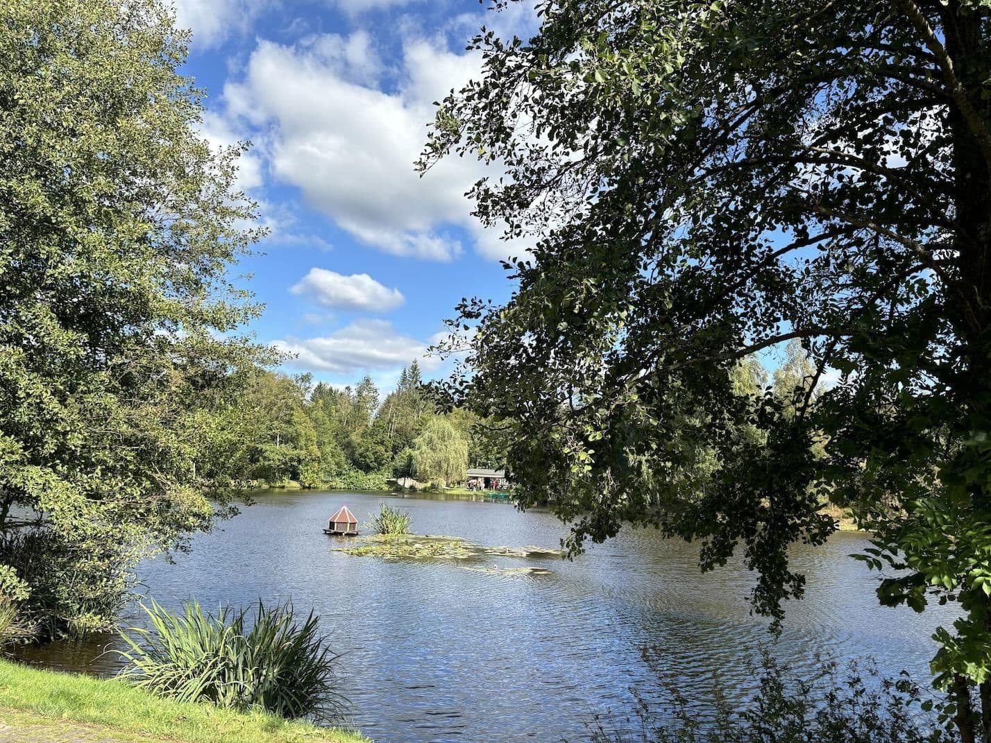 Prodej domu 369 m², pozemek 4.788 m², Harztor, Durynsko Prodej domu 369 m², pozemek 4.788 m², Harztor, Durynsko