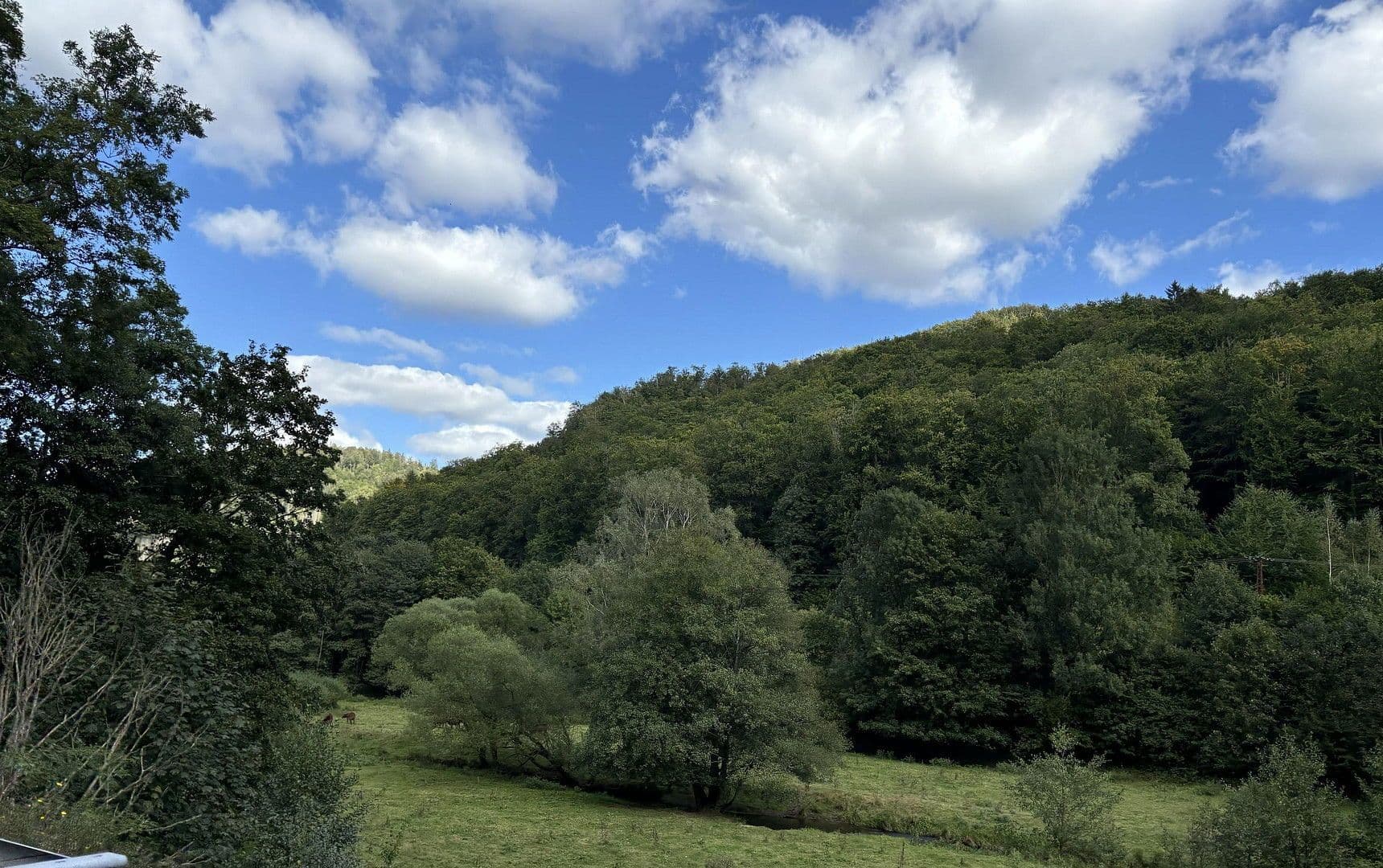 Prodej domu 369 m², pozemek 4.788 m², Harztor, Durynsko Prodej domu 369 m², pozemek 4.788 m², Harztor, Durynsko