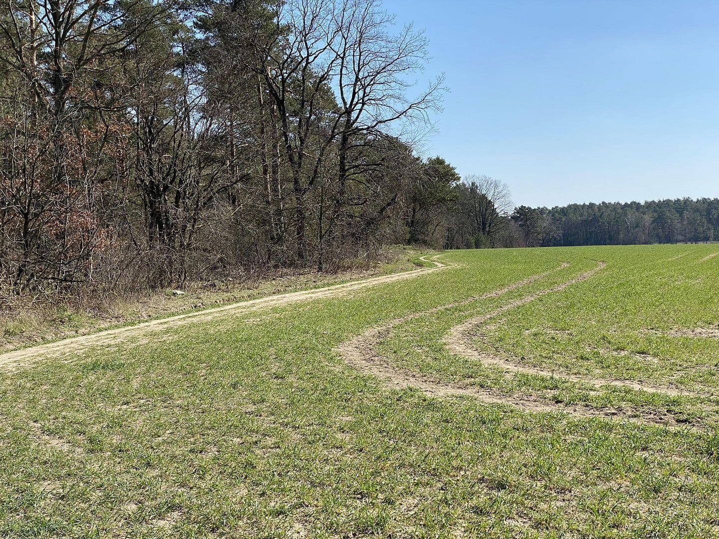 Prodej pozemku 19.700 m², Schulzendorf, Braniborsko Prodej pozemku 19.700 m², Schulzendorf, Braniborsko