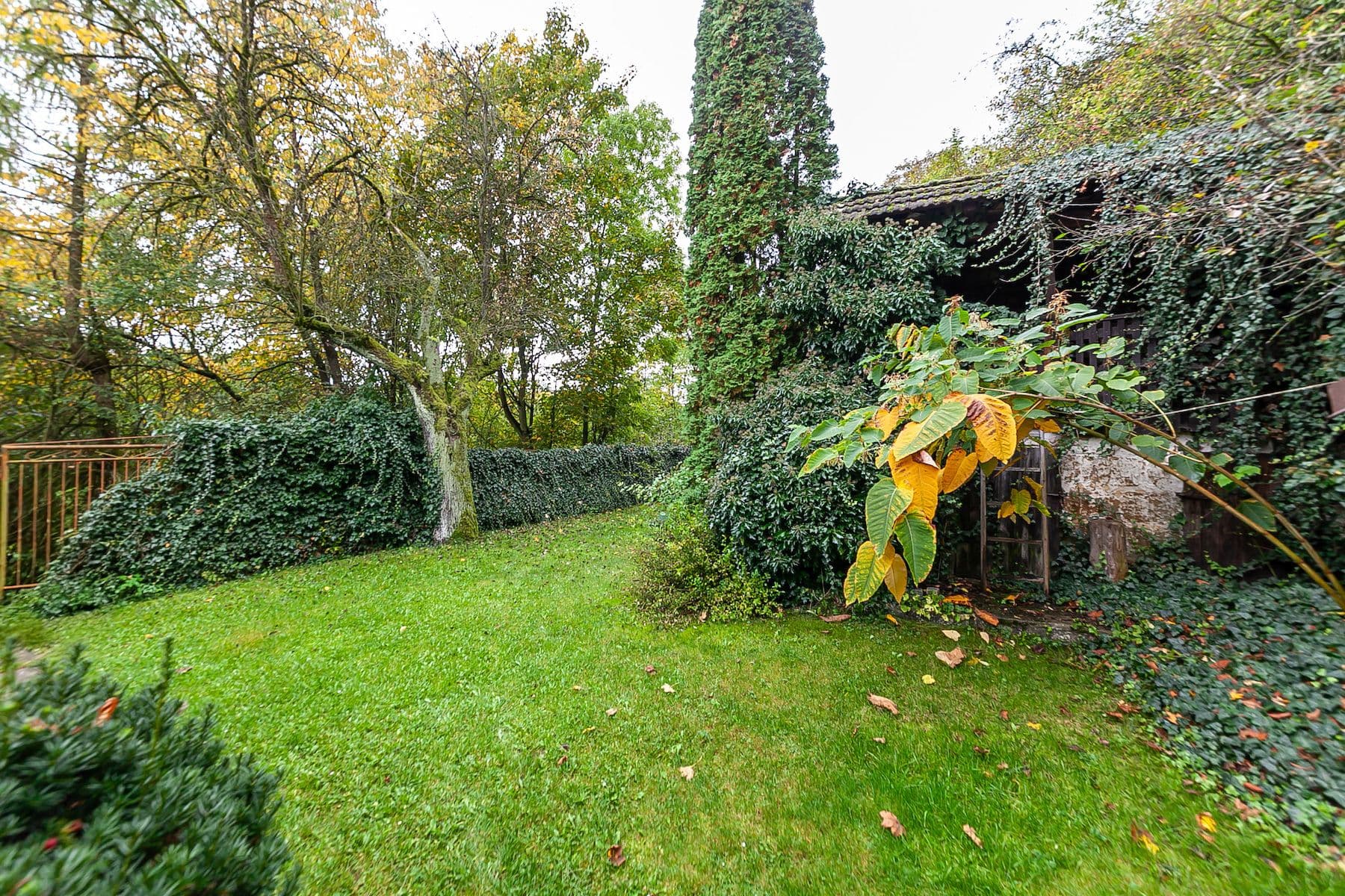 Prodej domu 55 m², pozemek 1.067 m², Mšeno, Středočeský kraj Prodej domu 55 m², pozemek 1.067 m², Mšeno, Středočeský kraj