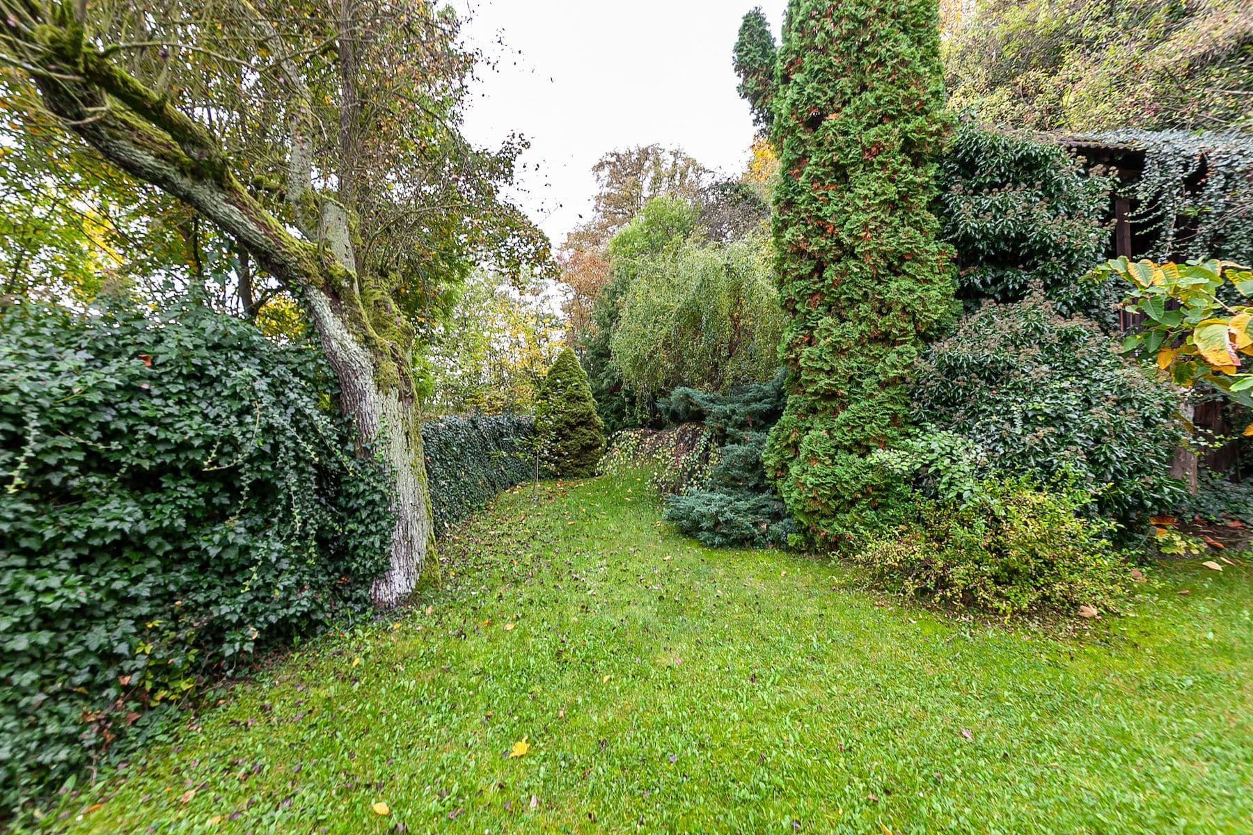 Prodej domu 55 m², pozemek 1.067 m², Mšeno, Středočeský kraj Prodej domu 55 m², pozemek 1.067 m², Mšeno, Středočeský kraj