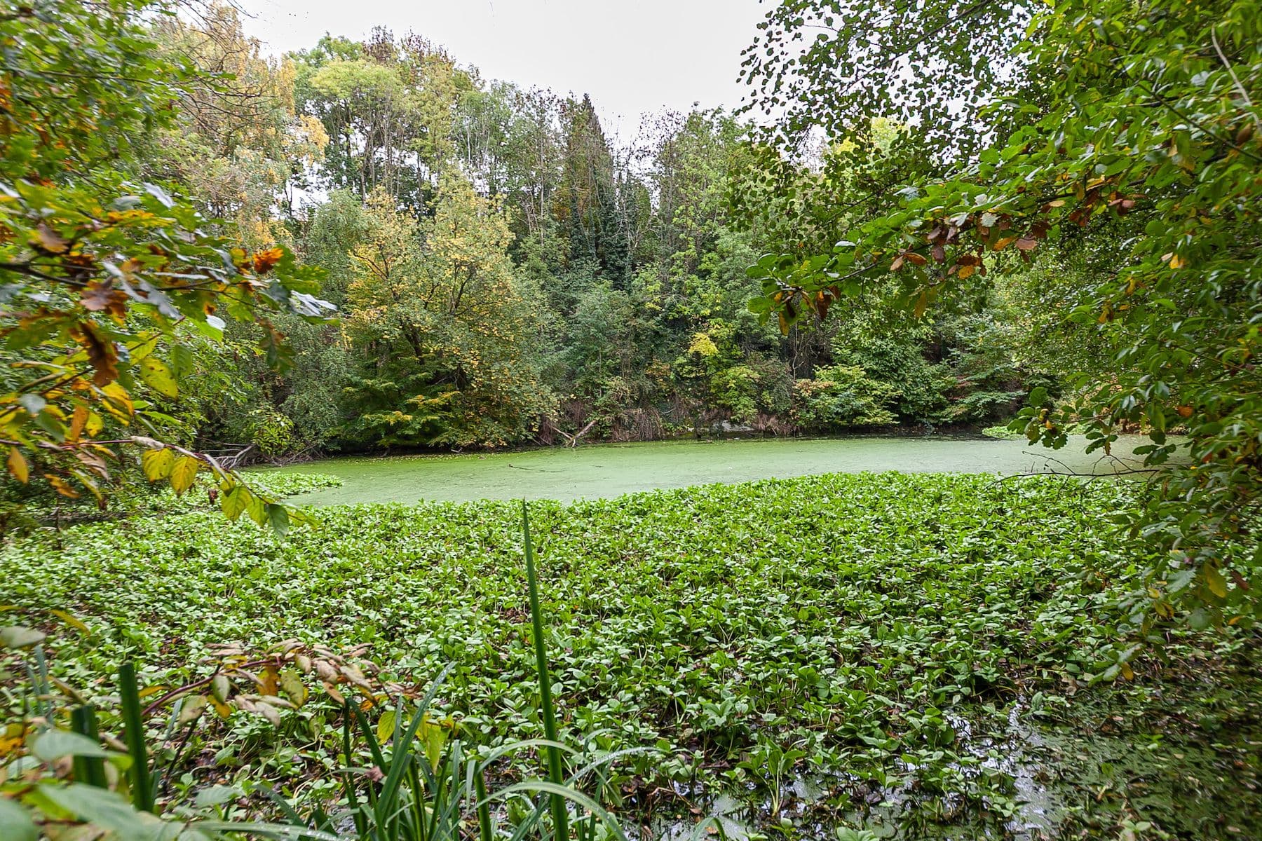 Prodej domu 55 m², pozemek 1.067 m², Mšeno, Středočeský kraj Prodej domu 55 m², pozemek 1.067 m², Mšeno, Středočeský kraj
