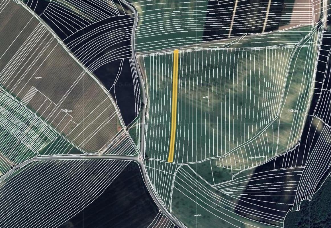 Prodej pozemku 3.992 m², Boleradice, Jihomoravský kraj Prodej pozemku 3.992 m², Boleradice, Jihomoravský kraj