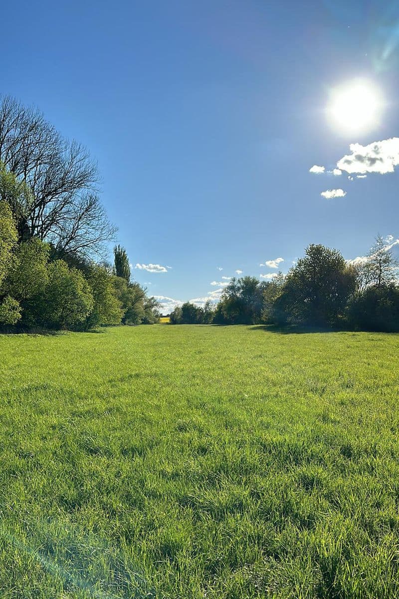 Prodej pozemku 2.145 m², Doľany, Bratislavský kraj Prodej pozemku 2.145 m², Doľany, Bratislavský kraj