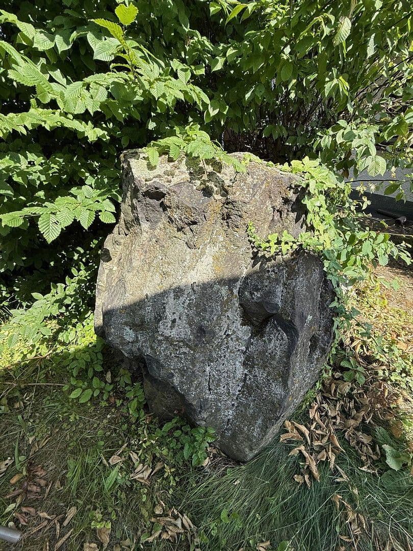 Prodej domu 478 m², pozemek 1.827 m², Neuhof, Hessen Prodej domu 478 m², pozemek 1.827 m², Neuhof, Hessen