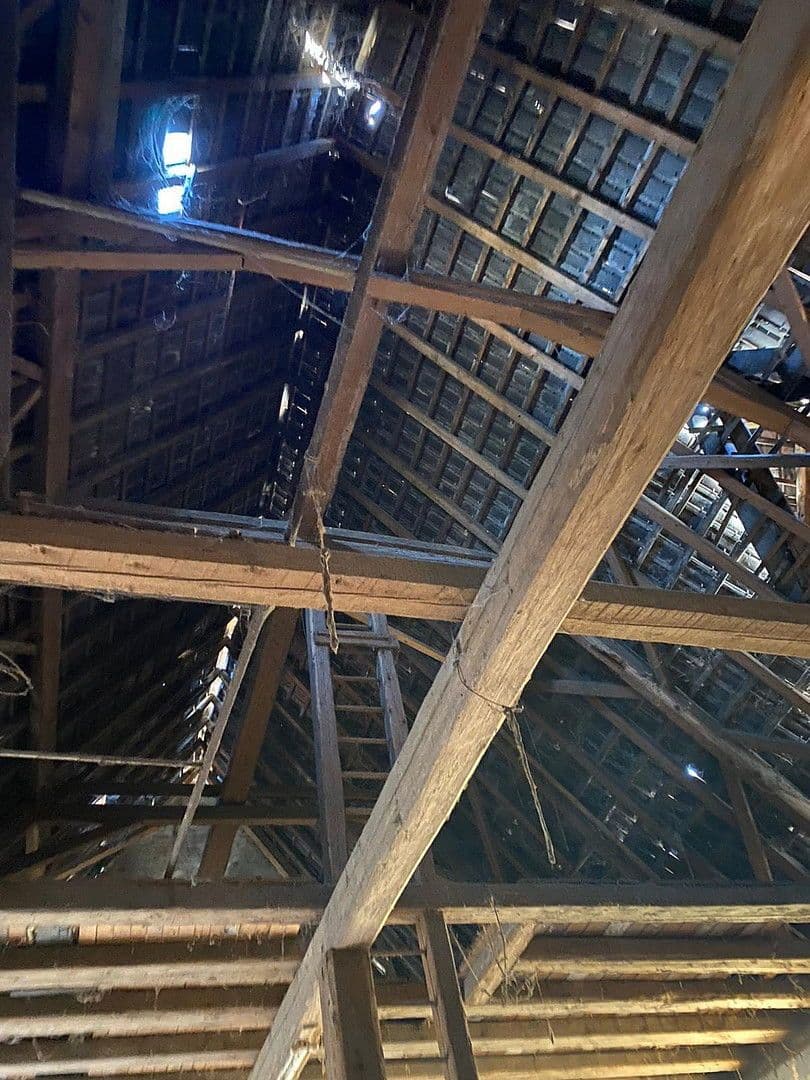 Prodej pozemku 450 m², Frankenthal Eppstein, Porýní-Falc Prodej pozemku 450 m², Frankenthal Eppstein, Porýní-Falc