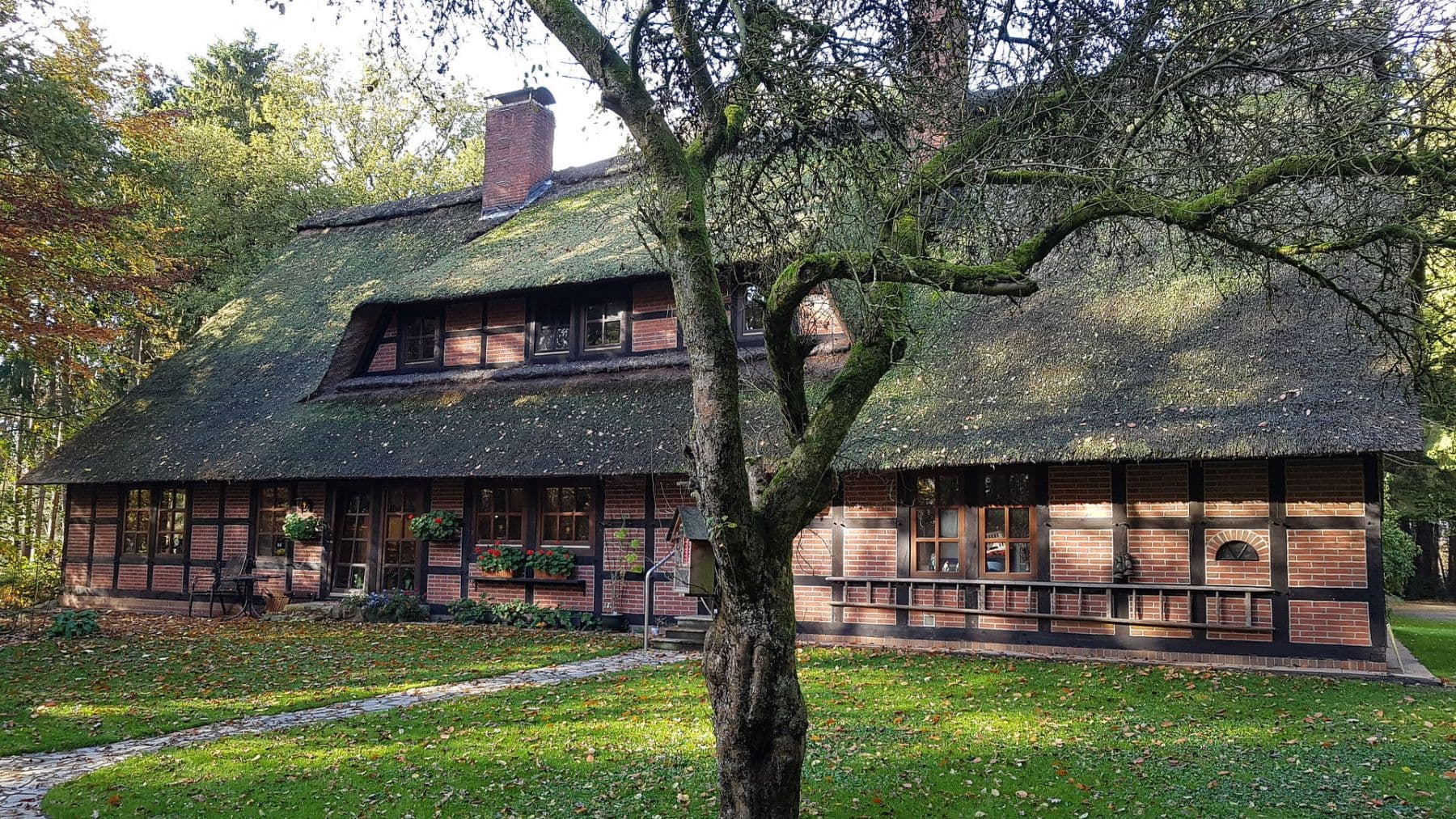 Prodej domu 262 m², pozemek 21.000 m², Klenkendorf 26, Gnarrenburg, Dolní Sasko Prodej domu 262 m², pozemek 21.000 m², Klenkendorf 26, Gnarrenburg, Dolní Sasko