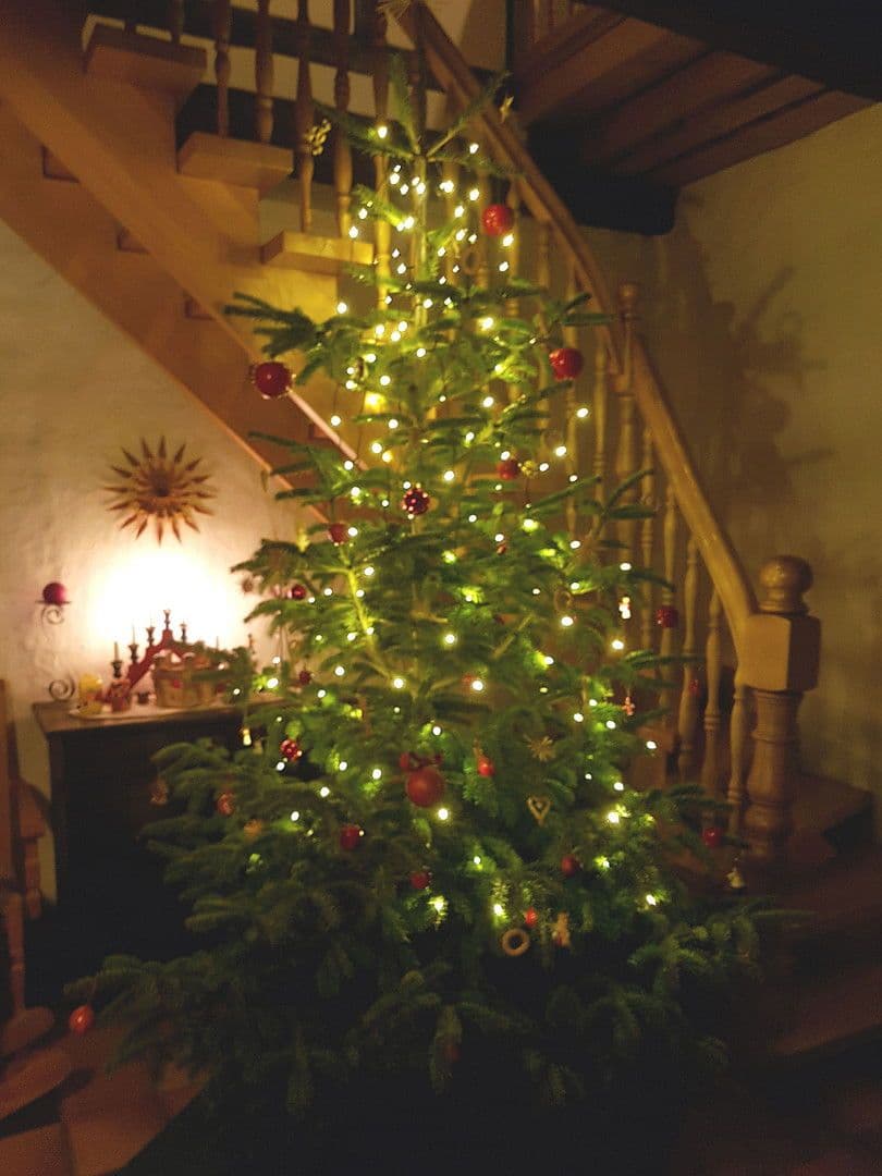 Prodej domu 262 m², pozemek 21.000 m², Klenkendorf 26, Gnarrenburg, Dolní Sasko Prodej domu 262 m², pozemek 21.000 m², Klenkendorf 26, Gnarrenburg, Dolní Sasko