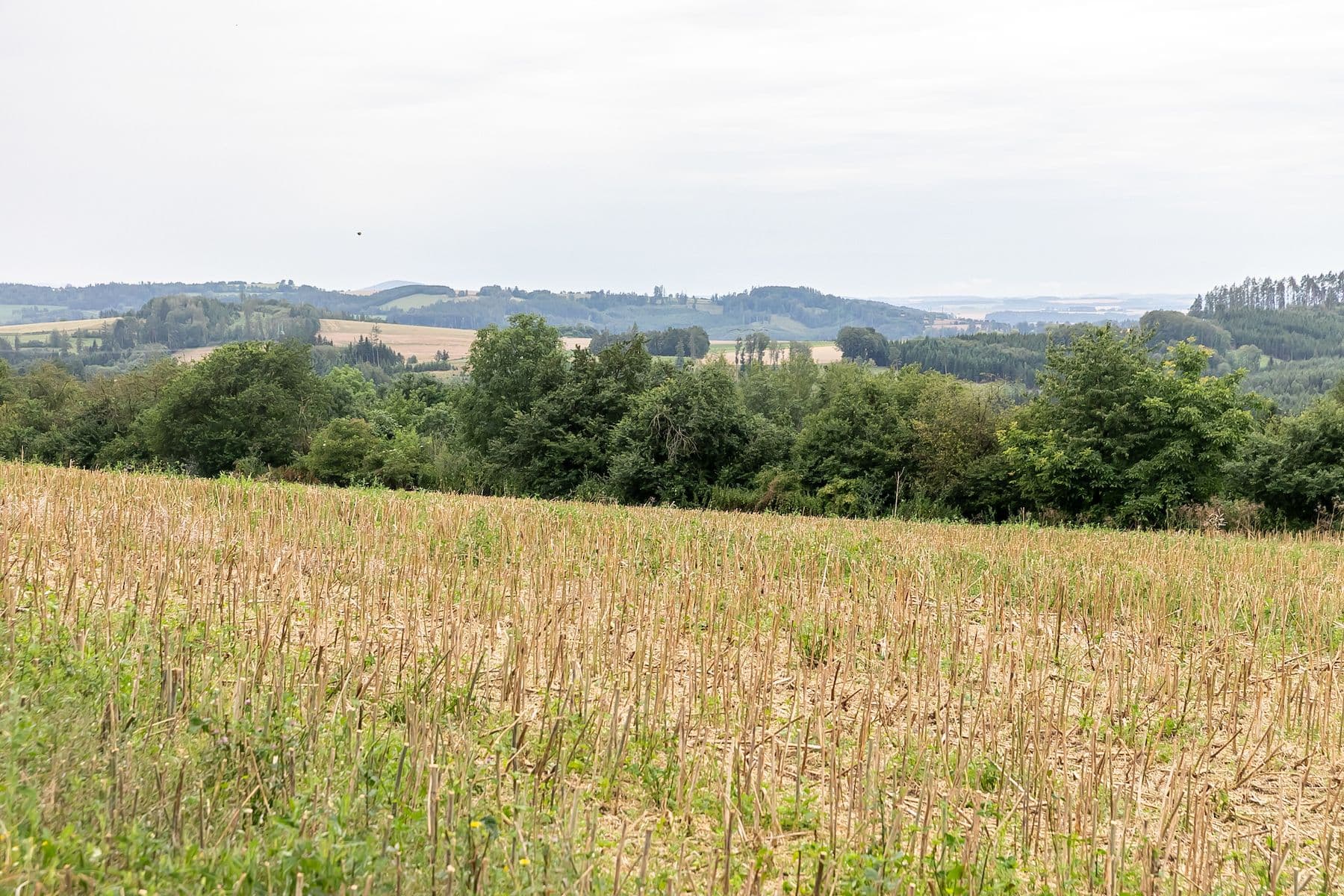 Prodej pozemku 1.800 m², Podveky, Středočeský kraj Prodej pozemku 1.800 m², Podveky, Středočeský kraj