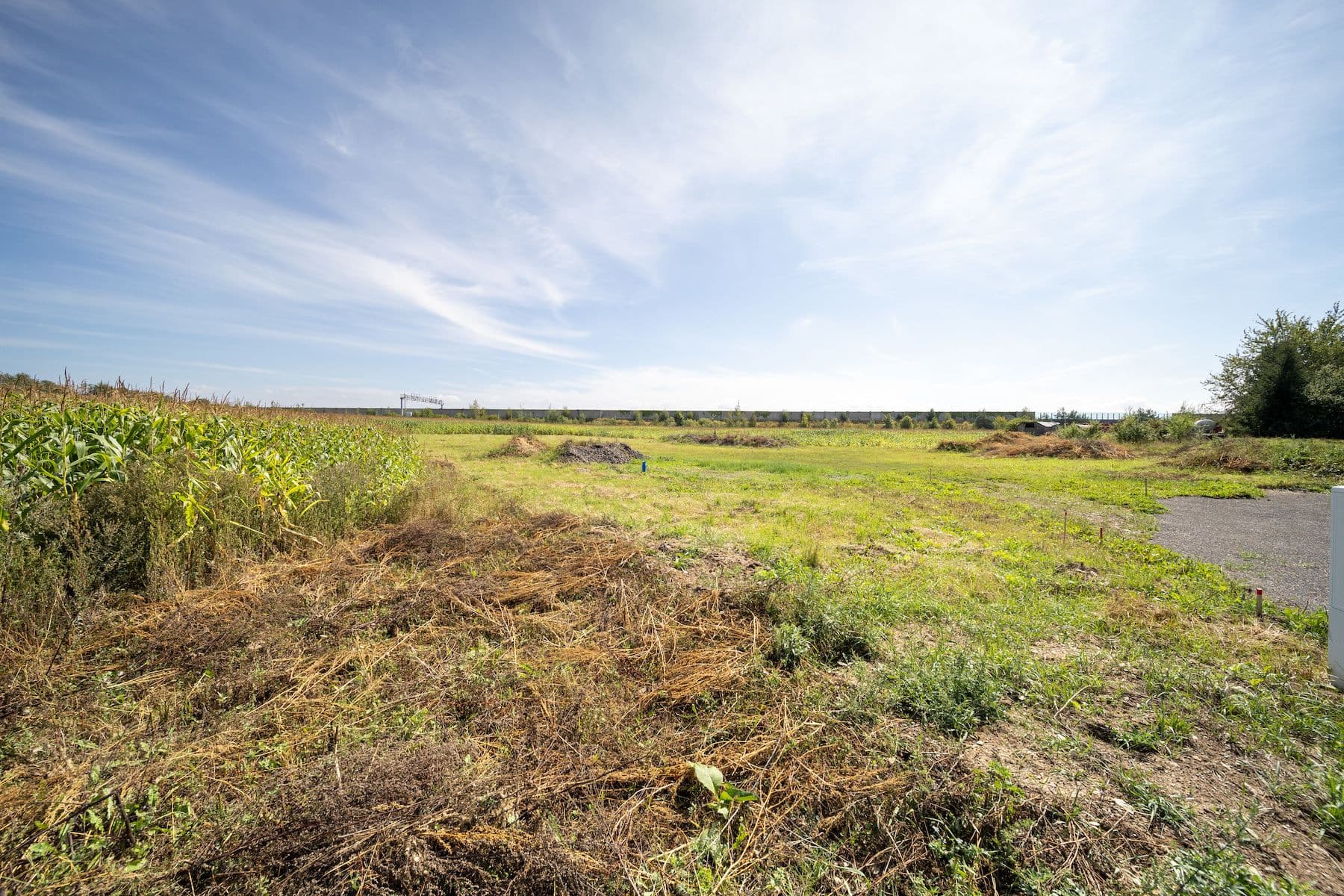 Prodej pozemku 6.770 m², Sudoměřice u Tábora, Jihočeský kraj Prodej pozemku 6.770 m², Sudoměřice u Tábora, Jihočeský kraj