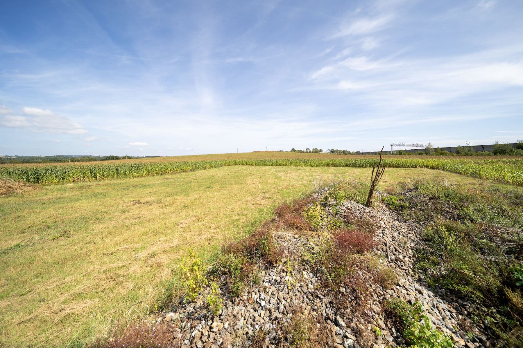 Prodej pozemku 6.770 m², Sudoměřice u Tábora, Jihočeský kraj Prodej pozemku 6.770 m², Sudoměřice u Tábora, Jihočeský kraj