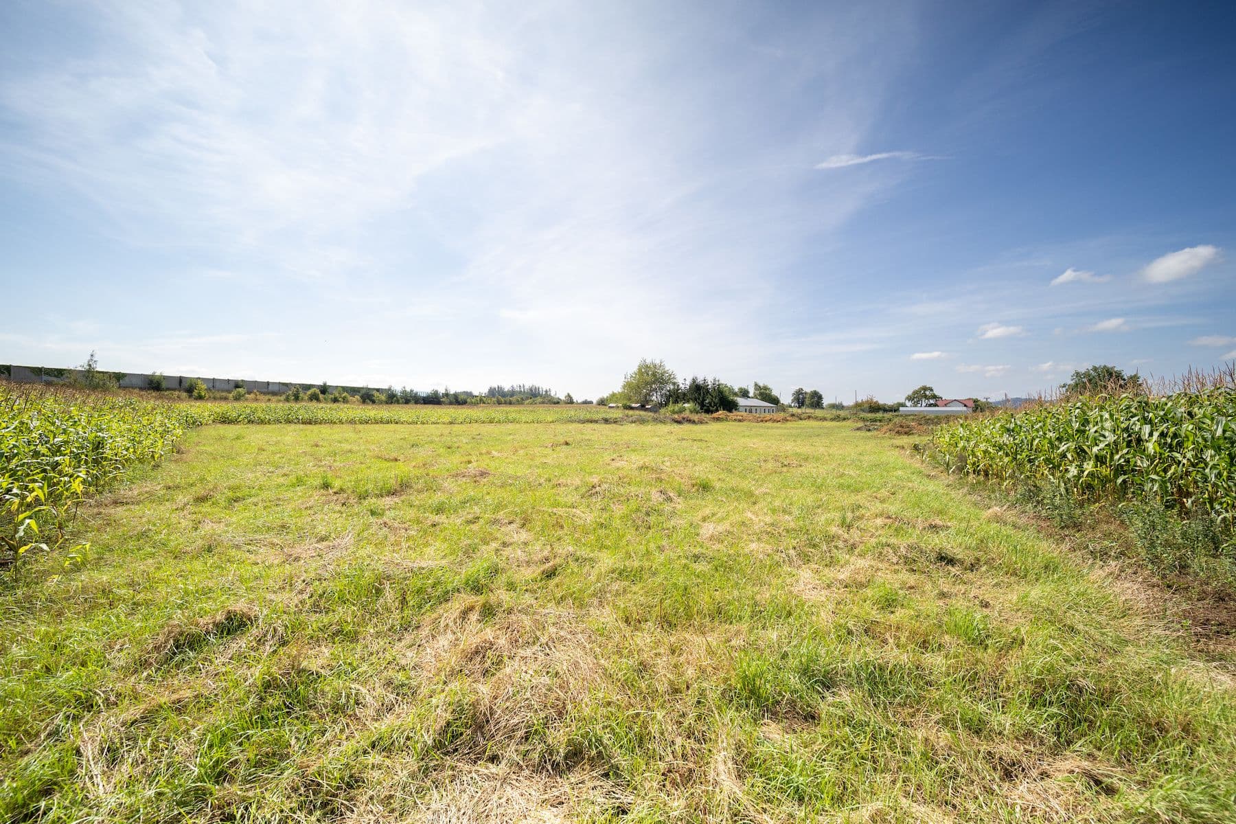 Prodej pozemku 6.770 m², Sudoměřice u Tábora, Jihočeský kraj Prodej pozemku 6.770 m², Sudoměřice u Tábora, Jihočeský kraj