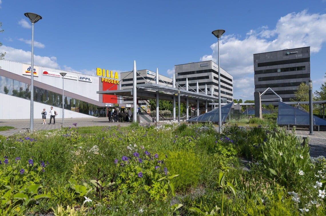 Pronájem bytu 2+kk 50 m², Čakovická, Praha, Praha Pronájem bytu 2+kk 50 m², Čakovická, Praha, Praha