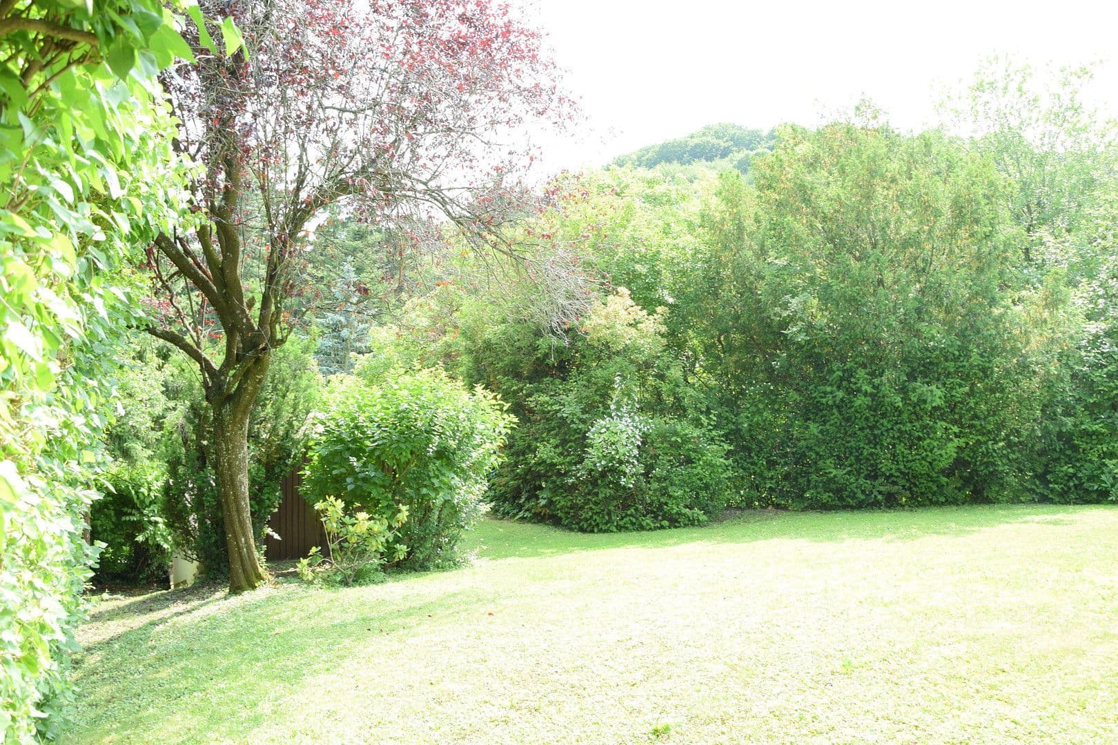 Prodej domu 250 m², pozemek 1.113 m², Niederwaldstraße 22, Eichgraben, Dolní Rakousko Prodej domu 250 m², pozemek 1.113 m², Niederwaldstraße 22, Eichgraben, Dolní Rakousko