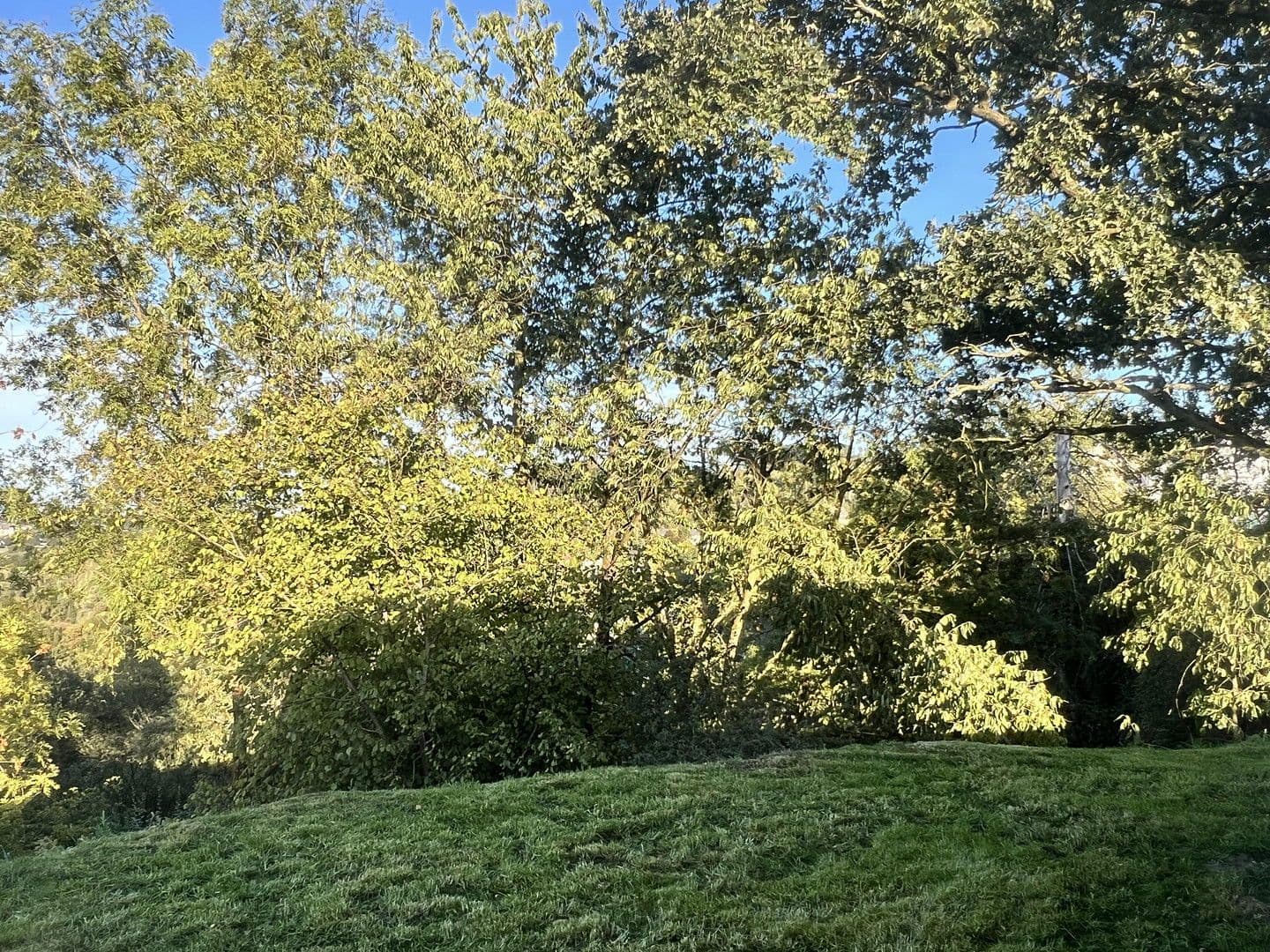 Prodej domu 42 m², pozemek 234 m², Warstein, Severní Porýní-Vestfálsko Prodej domu 42 m², pozemek 234 m², Warstein, Severní Porýní-Vestfálsko