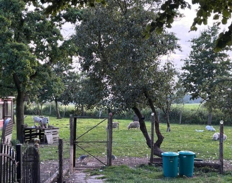 Prodej domu 160 m², pozemek 3.500 m², St. Georgiwold 28, Weener, Dolní Sasko Prodej domu 160 m², pozemek 3.500 m², St. Georgiwold 28, Weener, Dolní Sasko