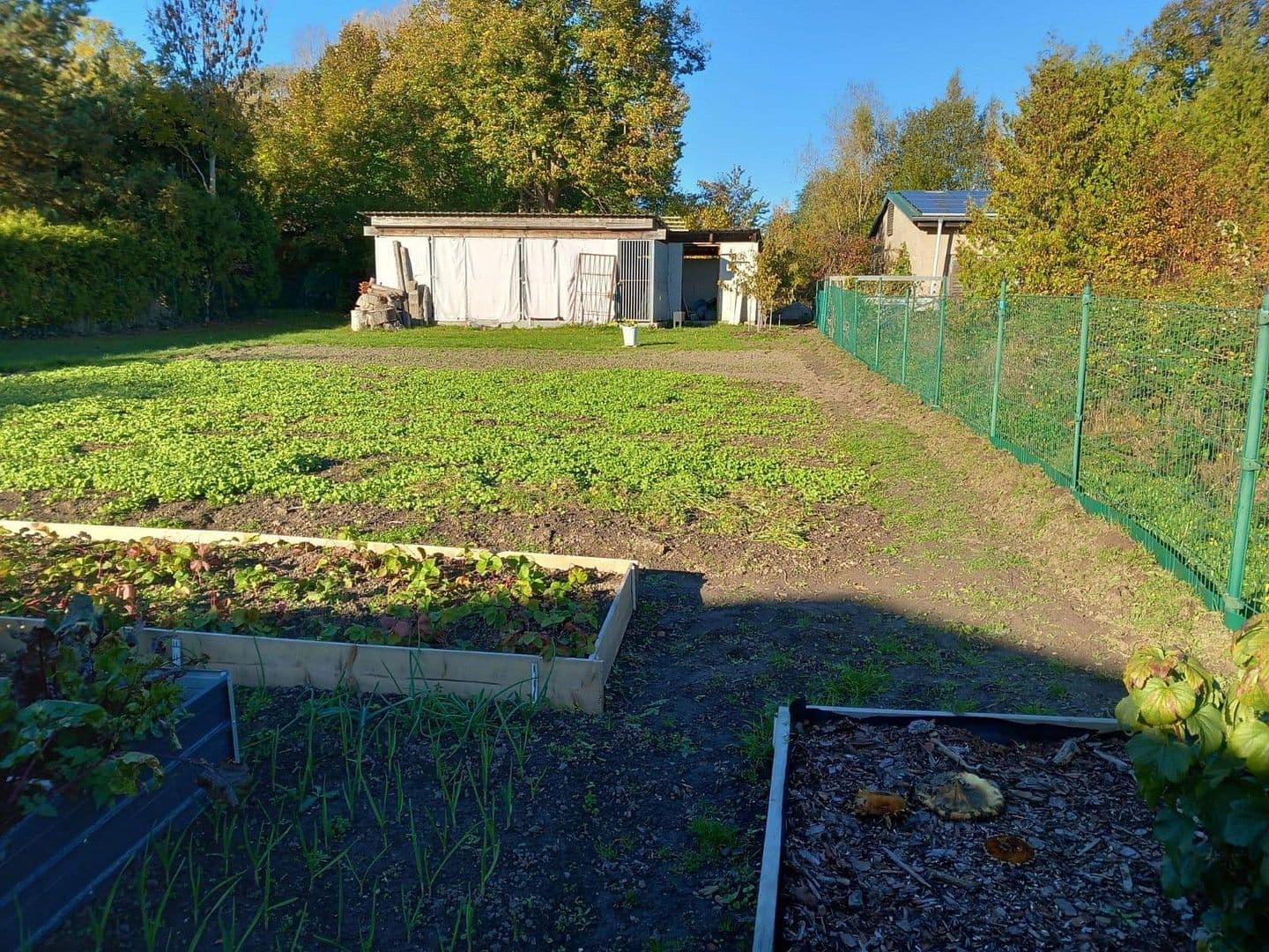 Prodej domu 100 m², pozemek 11.000 m², Grimmen, Mecklenburg-Vorpommern Prodej domu 100 m², pozemek 11.000 m², Grimmen, Mecklenburg-Vorpommern