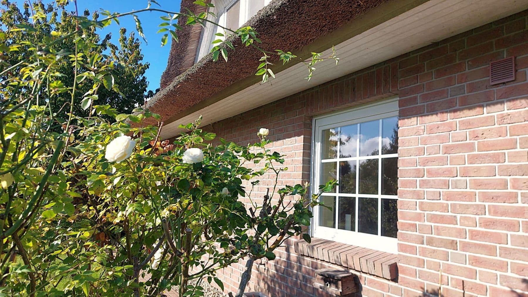 Prodej domu 205 m², pozemek 1.639 m², Inselstrasse  26, Rechlin, Mecklenburg-Vorpommern Prodej domu 205 m², pozemek 1.639 m², Inselstrasse  26, Rechlin, Mecklenburg-Vorpommern
