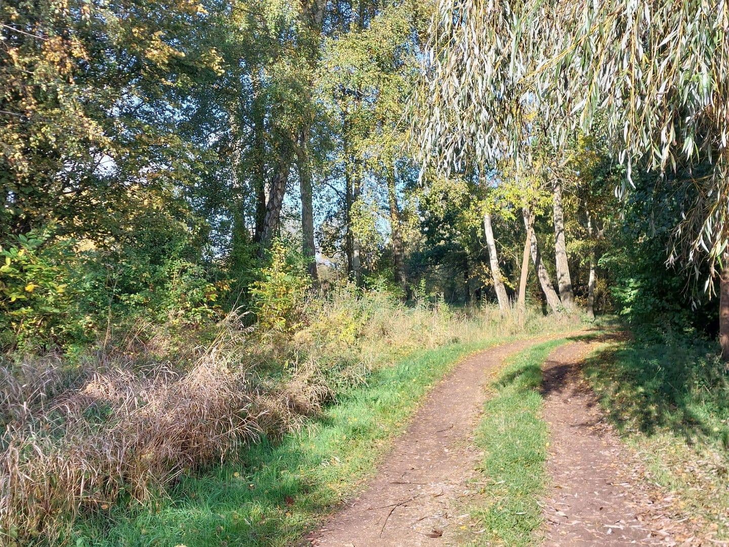 Prodej domu 205 m², pozemek 1.639 m², Inselstrasse  26, Rechlin, Mecklenburg-Vorpommern Prodej domu 205 m², pozemek 1.639 m², Inselstrasse  26, Rechlin, Mecklenburg-Vorpommern
