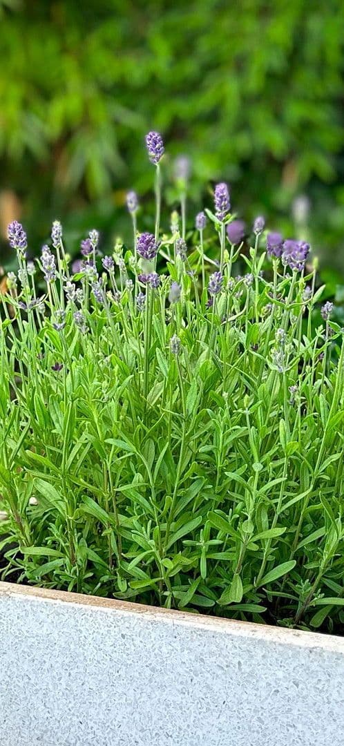 Prodej bytu 2+1 60 m², Druidenweg 12, Ebermannstadt, Bavorsko Prodej bytu 2+1 60 m², Druidenweg 12, Ebermannstadt, Bavorsko