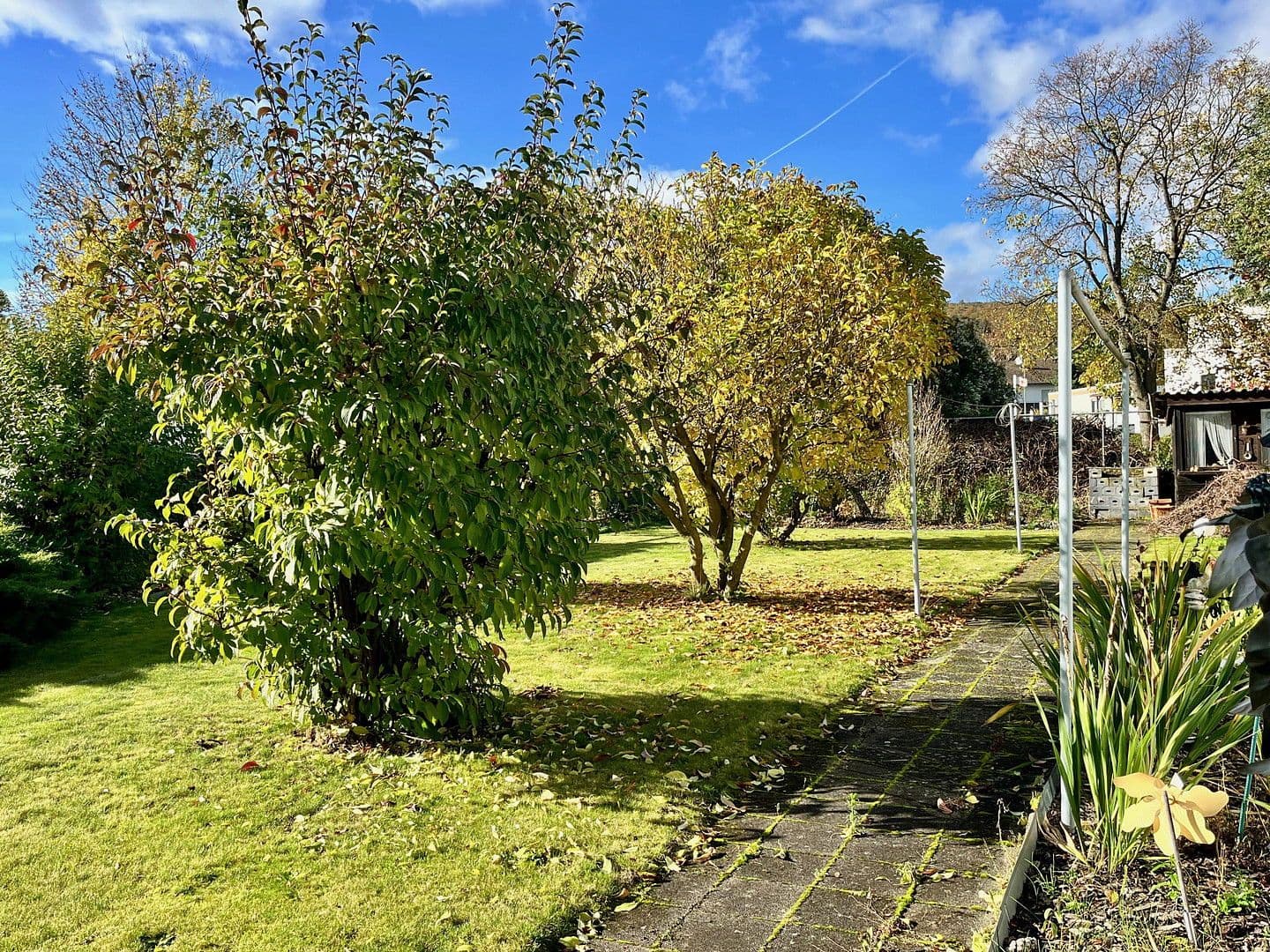 Prodej domu 175 m², pozemek 736 m², Rosbach v. d. Höhe, Hessen Prodej domu 175 m², pozemek 736 m², Rosbach v. d. Höhe, Hessen