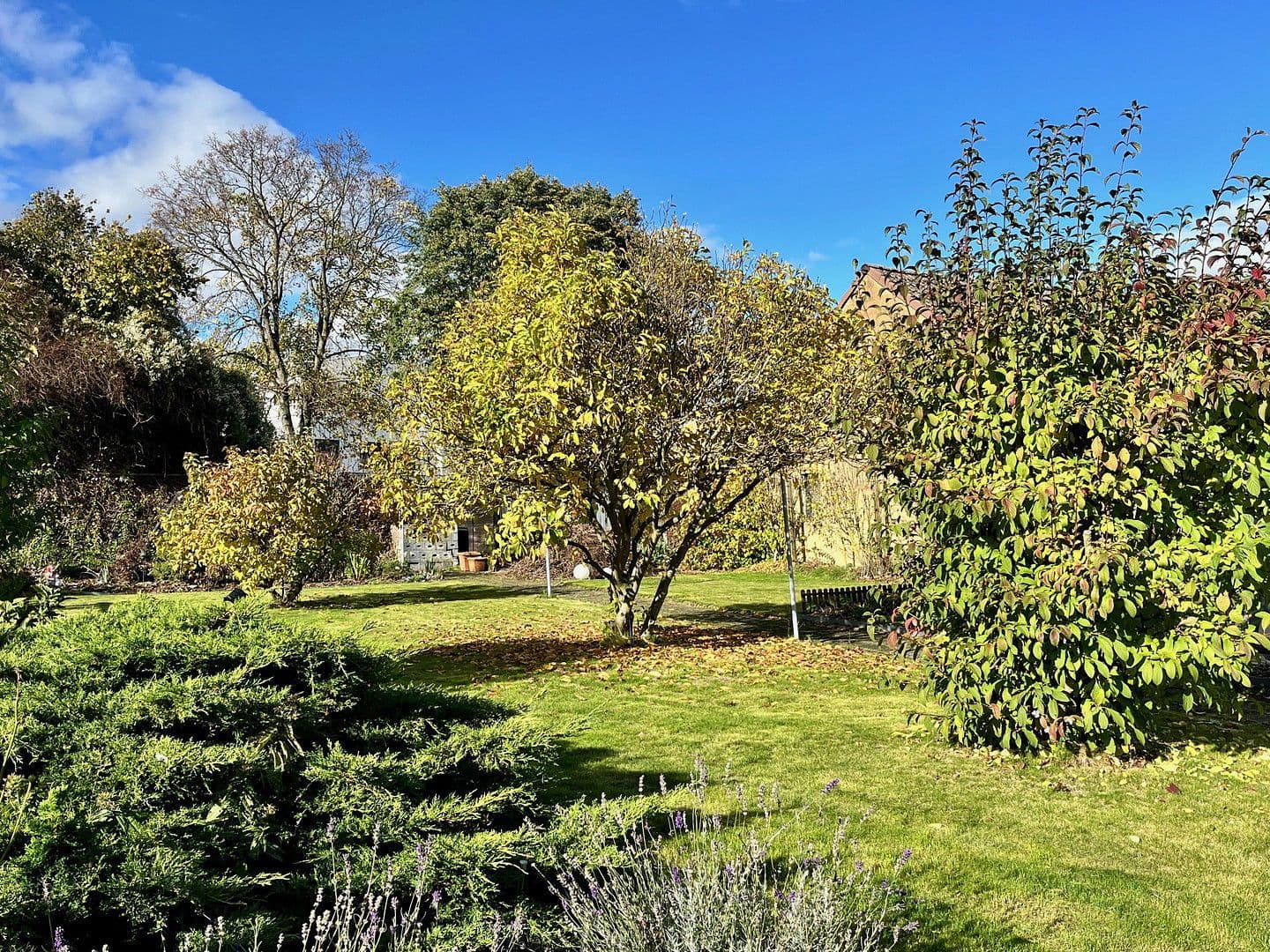 Prodej domu 175 m², pozemek 736 m², Rosbach v. d. Höhe, Hessen Prodej domu 175 m², pozemek 736 m², Rosbach v. d. Höhe, Hessen