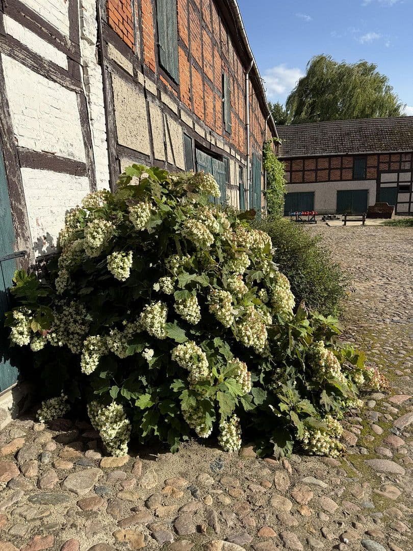 Prodej domu 396 m², pozemek 7.500 m², Apenburg-Winterfeld, Sasko-Anhaltsko Prodej domu 396 m², pozemek 7.500 m², Apenburg-Winterfeld, Sasko-Anhaltsko