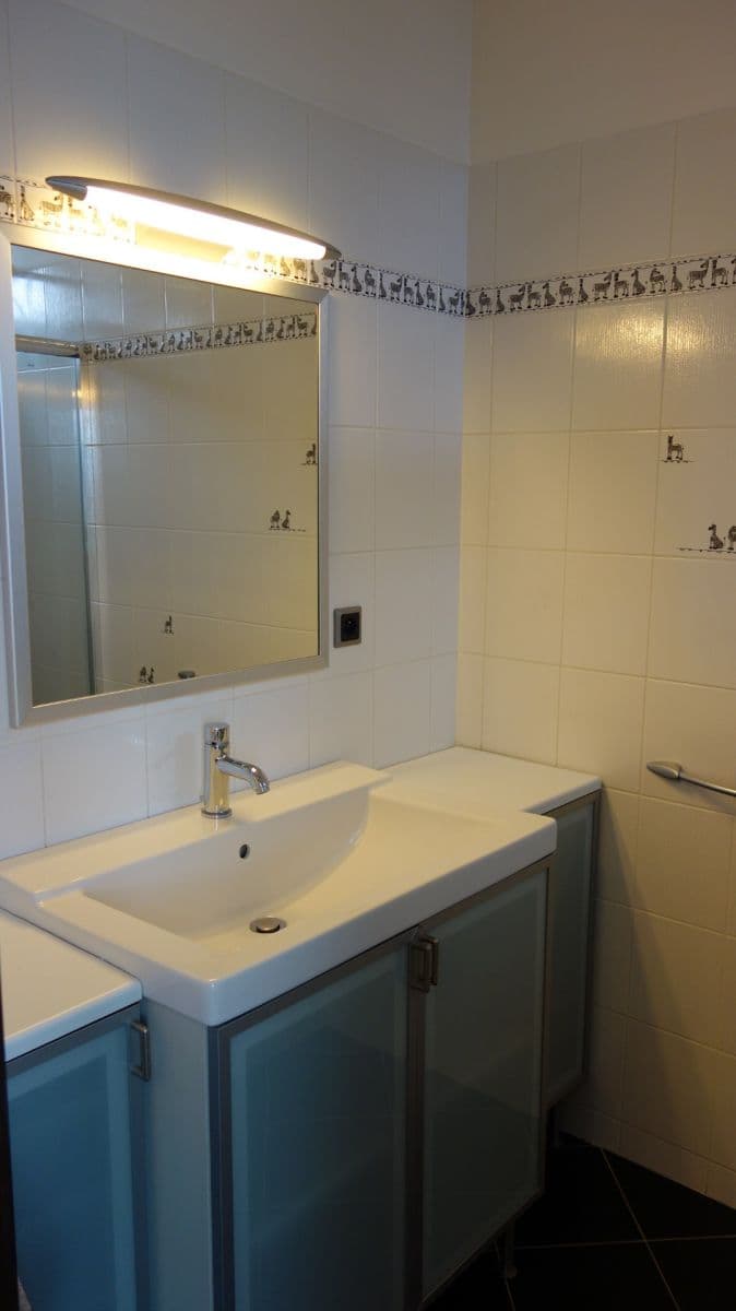 Pronájem bytu 3+kk 86 m², Cacovická, Brno, Jihomoravský kraj Pronájem bytu 3+kk 86 m², Cacovická, Brno, Jihomoravský kraj