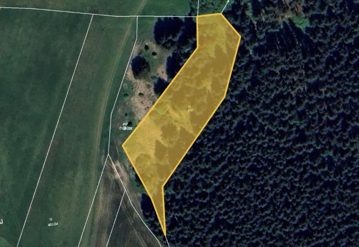 Prodej pozemku 4.409 m², Líšná, Kraj Vysočina Prodej pozemku 4.409 m², Líšná, Kraj Vysočina