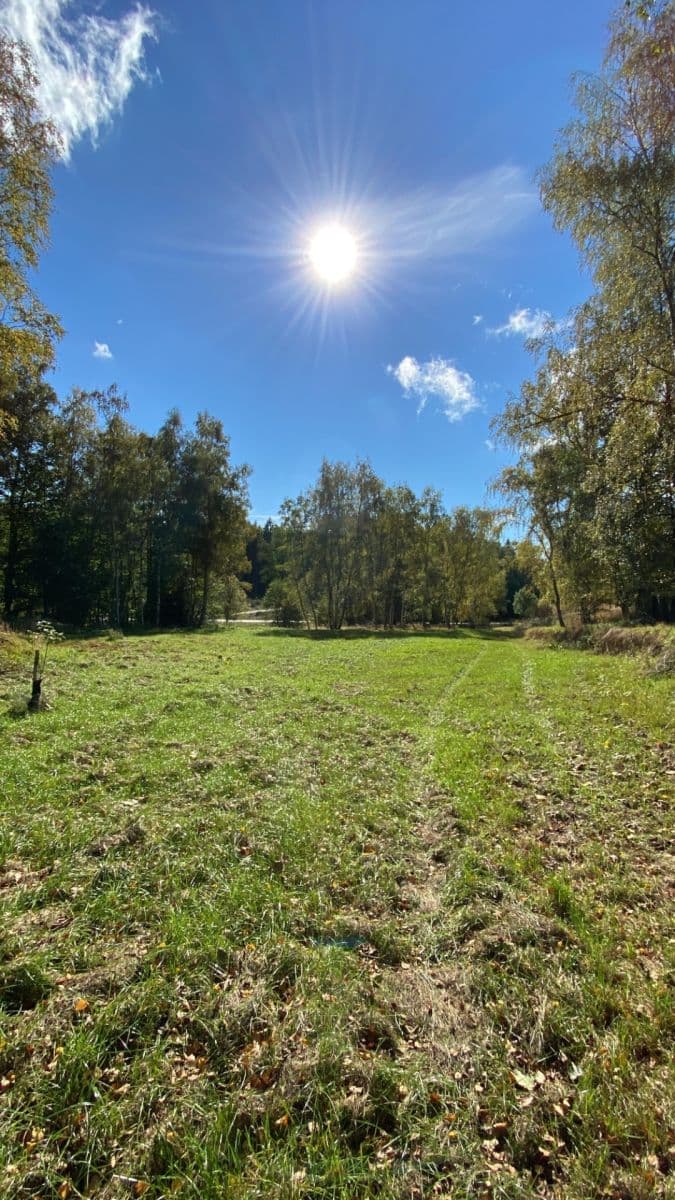Prodej pozemku 6.627 m², 134, Popelín, Jihočeský kraj Prodej pozemku 6.627 m², 134, Popelín, Jihočeský kraj