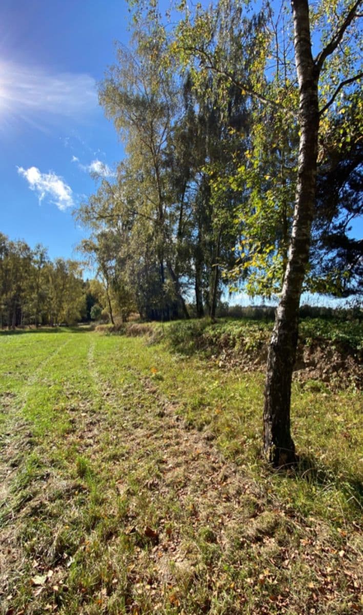 Prodej pozemku 6.627 m², 134, Popelín, Jihočeský kraj Prodej pozemku 6.627 m², 134, Popelín, Jihočeský kraj