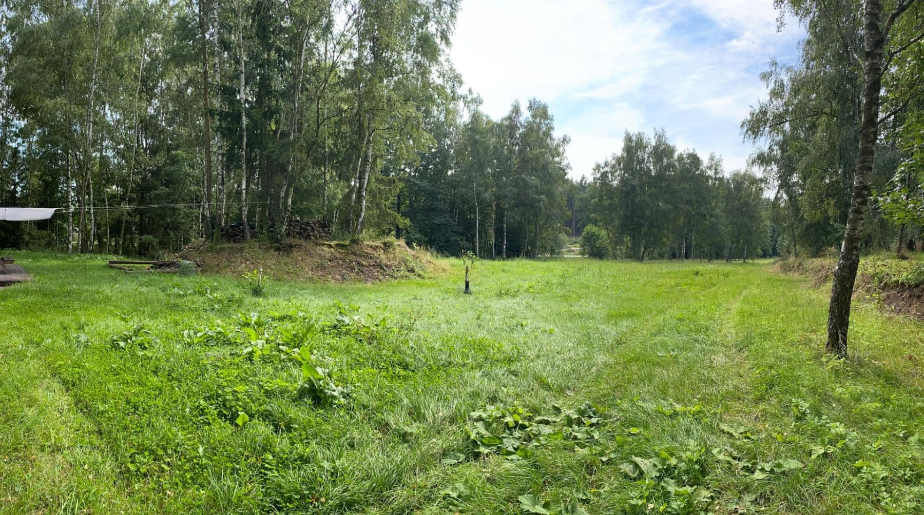 Prodej pozemku 6.627 m², 134, Popelín, Jihočeský kraj Prodej pozemku 6.627 m², 134, Popelín, Jihočeský kraj