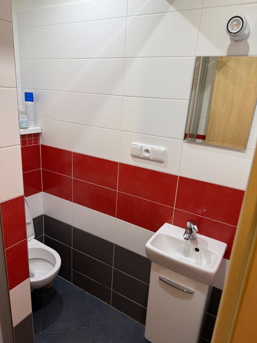 Pronájem bytu 1+kk 15 m², Borovanského, Praha, Praha Pronájem bytu 1+kk 15 m², Borovanského, Praha, Praha