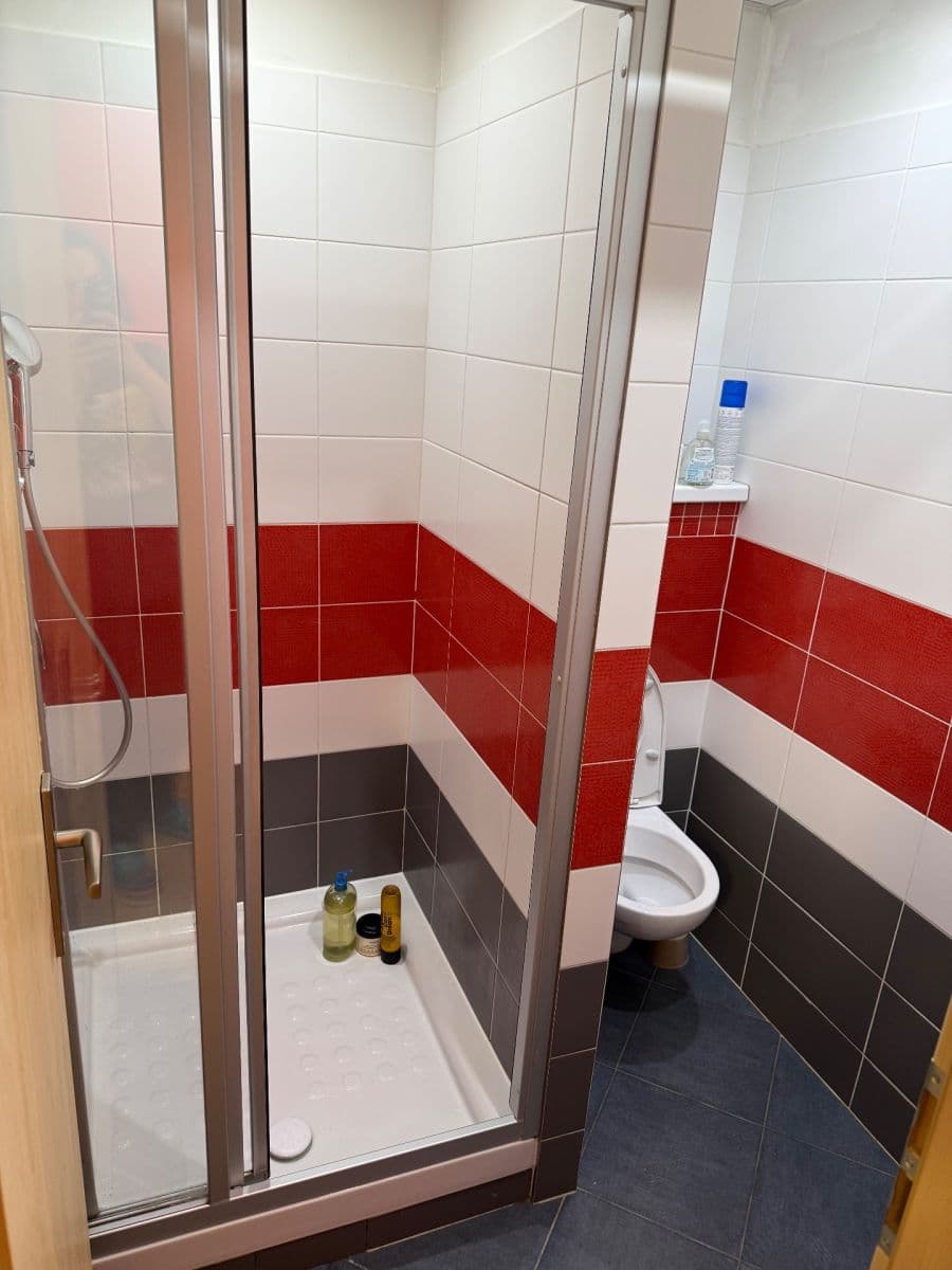 Pronájem bytu 1+kk 15 m², Borovanského, Praha, Praha Pronájem bytu 1+kk 15 m², Borovanského, Praha, Praha