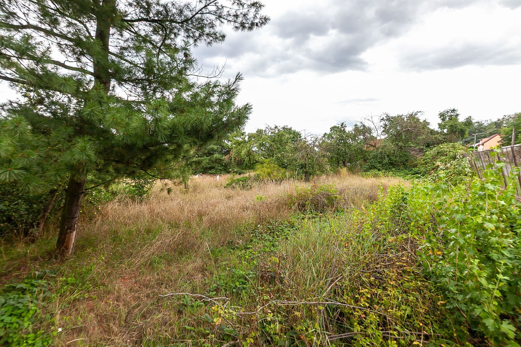 Prodej pozemku 3.823 m², Dolní Beřkovice, Středočeský kraj Prodej pozemku 3.823 m², Dolní Beřkovice, Středočeský kraj