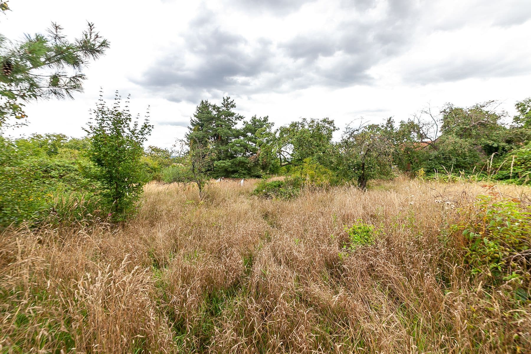 Prodej pozemku 3.823 m², Dolní Beřkovice, Středočeský kraj Prodej pozemku 3.823 m², Dolní Beřkovice, Středočeský kraj