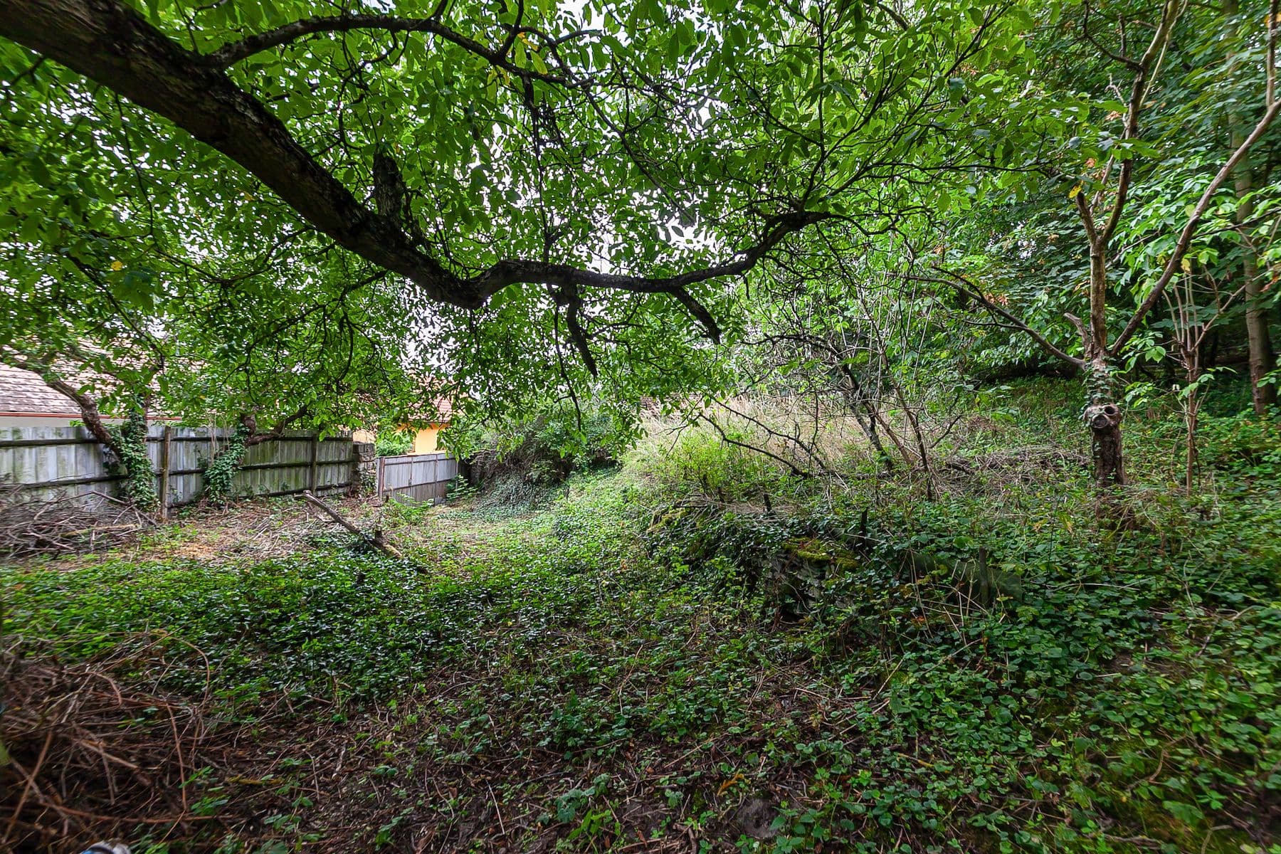 Prodej domu 200 m², pozemek 3.645 m², Dolní Beřkovice, Středočeský kraj Prodej domu 200 m², pozemek 3.645 m², Dolní Beřkovice, Středočeský kraj