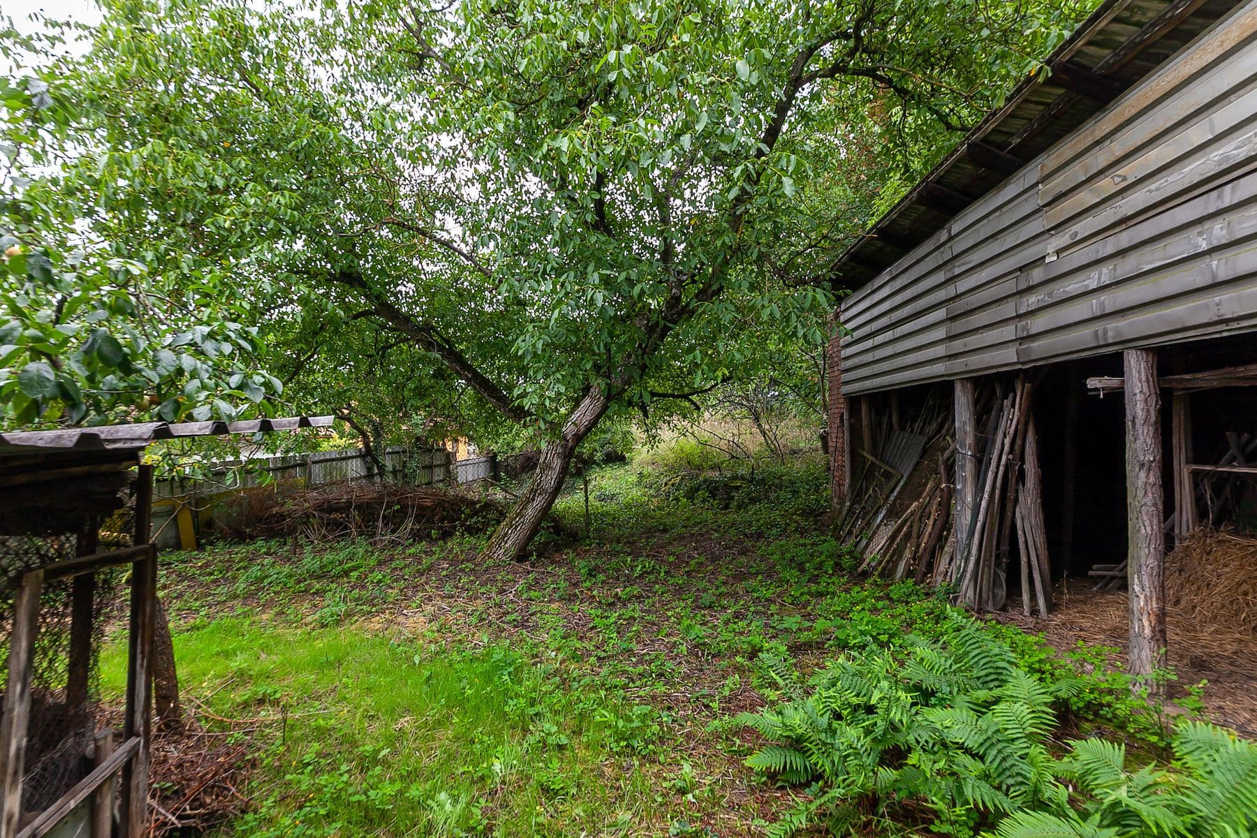 Prodej chaty, chalupy 200 m², pozemek 3.645 m², Dolní Beřkovice, Středočeský kraj Prodej chaty, chalupy 200 m², pozemek 3.645 m², Dolní Beřkovice, Středočeský kraj