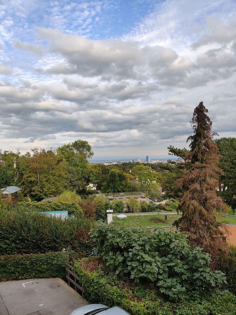 Prodej bytu 3+1 77 m², Pötzleinsdorfer Straße, Wien, Wien Prodej bytu 3+1 77 m², Pötzleinsdorfer Straße, Wien, Wien