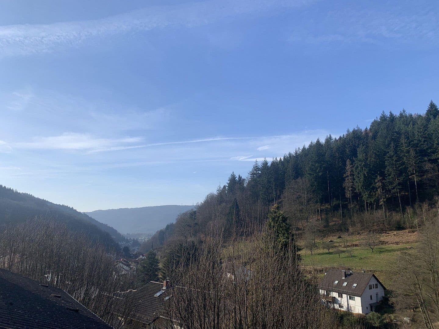 Prodej bytu 4+1 142 m², Schweizertalstraße 30, Heidelberg, Bádensko-Württembersko Prodej bytu 4+1 142 m², Schweizertalstraße 30, Heidelberg, Bádensko-Württembersko