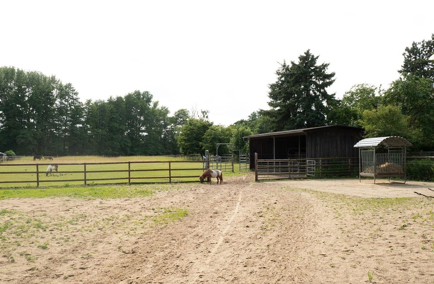 Prodej domu 345 m², pozemek 7.985 m², Wendeburg, Dolní Sasko Prodej domu 345 m², pozemek 7.985 m², Wendeburg, Dolní Sasko