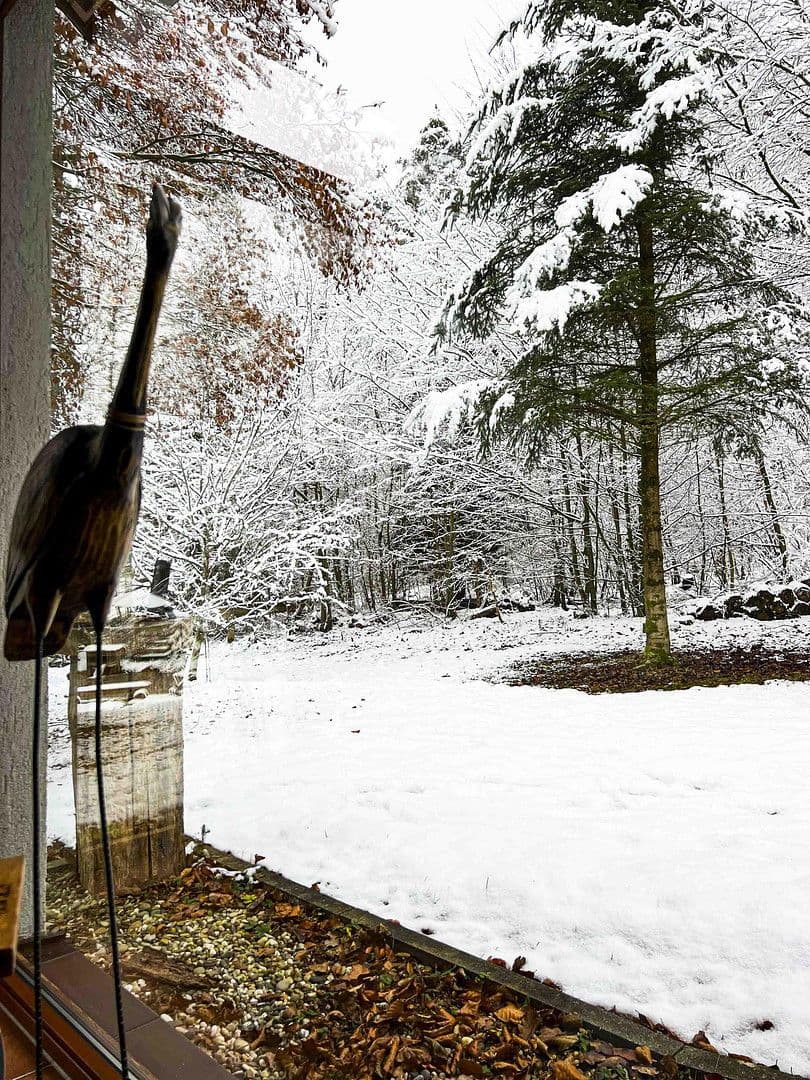 Prodej domu 250 m², pozemek 7.600 m², Glashütten, Hessen Prodej domu 250 m², pozemek 7.600 m², Glashütten, Hessen