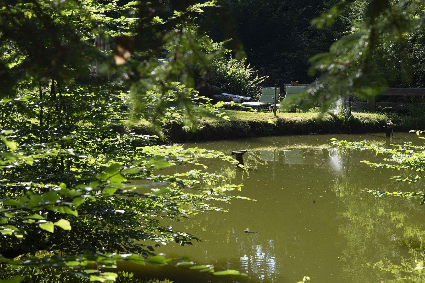 Prodej domu 250 m², pozemek 7.600 m², Glashütten, Hessen Prodej domu 250 m², pozemek 7.600 m², Glashütten, Hessen