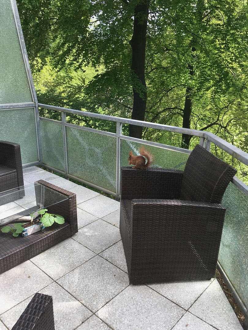 Pronájem bytu 2+kk 77 m², Hainholzweg, Hamburg, Hamburg Pronájem bytu 2+kk 77 m², Hainholzweg, Hamburg, Hamburg