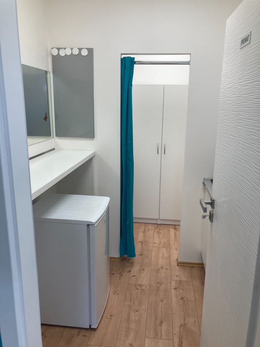 Pronájem nebytového prostoru 120 m², Červenohrádecká, Plzeň, Plzeňský kraj Pronájem nebytového prostoru 120 m², Červenohrádecká, Plzeň, Plzeňský kraj