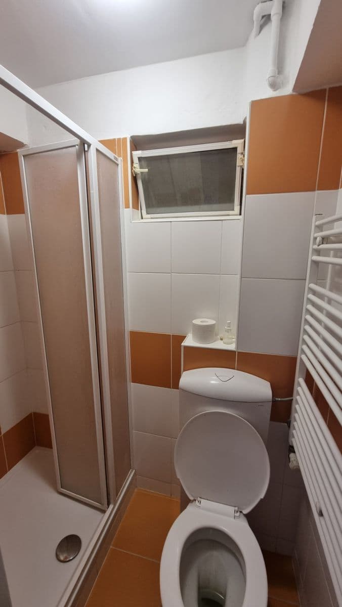 Pronájem bytu 1+kk 47 m², Skorkovského, Brno, Jihomoravský kraj Pronájem bytu 1+kk 47 m², Skorkovského, Brno, Jihomoravský kraj