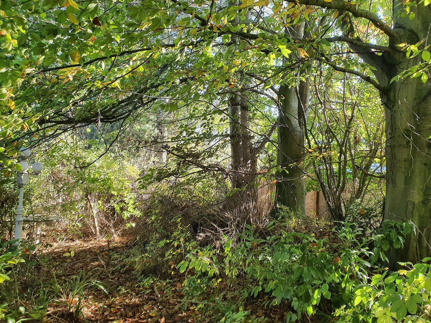 Prodej domu 197 m², pozemek 1.552 m², Korschenbroich, Severní Porýní-Vestfálsko Prodej domu 197 m², pozemek 1.552 m², Korschenbroich, Severní Porýní-Vestfálsko