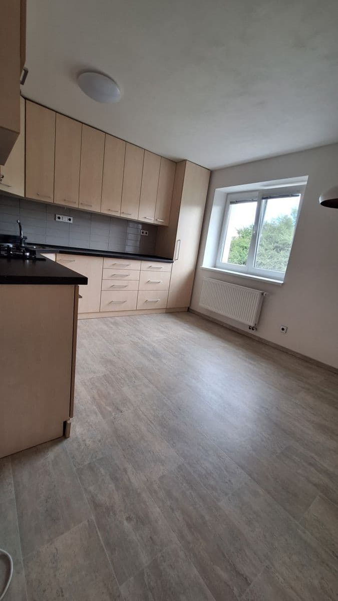 Pronájem bytu 2+1 56 m², Dvorského, Brno, Jihomoravský kraj Pronájem bytu 2+1 56 m², Dvorského, Brno, Jihomoravský kraj