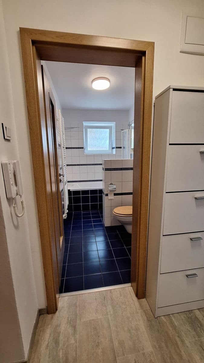 Pronájem bytu 2+1 56 m², Dvorského, Brno, Jihomoravský kraj Pronájem bytu 2+1 56 m², Dvorského, Brno, Jihomoravský kraj